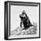 Awesome South Africa Collection Square - Penguin Lovers II B&W-Philippe Hugonnard-Framed Photographic Print