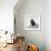 Awesome South Africa Collection Square - Penguin Lovers II B&W-Philippe Hugonnard-Framed Photographic Print displayed on a wall