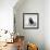 Awesome South Africa Collection Square - Penguin Lovers II B&W-Philippe Hugonnard-Framed Photographic Print displayed on a wall