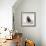 Awesome South Africa Collection Square - Penguin Lovers IV-Philippe Hugonnard-Framed Photographic Print displayed on a wall