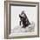 Awesome South Africa Collection Square - Penguin Lovers IV-Philippe Hugonnard-Framed Photographic Print