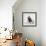 Awesome South Africa Collection Square - Penguin Lovers IV-Philippe Hugonnard-Framed Photographic Print displayed on a wall