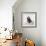 Awesome South Africa Collection Square - Penguin Lovers IV-Philippe Hugonnard-Framed Photographic Print displayed on a wall