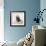 Awesome South Africa Collection Square - Penguin Lovers IV-Philippe Hugonnard-Framed Photographic Print displayed on a wall