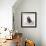 Awesome South Africa Collection Square - Penguin Lovers IV-Philippe Hugonnard-Framed Photographic Print displayed on a wall