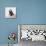 Awesome South Africa Collection Square - Penguin Lovers IV-Philippe Hugonnard-Mounted Photographic Print displayed on a wall