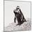 Awesome South Africa Collection Square - Penguin Lovers IV-Philippe Hugonnard-Mounted Photographic Print