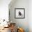 Awesome South Africa Collection Square - Penguin Lovers IV-Philippe Hugonnard-Framed Photographic Print displayed on a wall