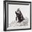 Awesome South Africa Collection Square - Penguin Lovers IV-Philippe Hugonnard-Framed Photographic Print