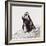 Awesome South Africa Collection Square - Penguin Lovers IV-Philippe Hugonnard-Framed Photographic Print