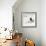 Awesome South Africa Collection Square - Penguin Lovers-Philippe Hugonnard-Framed Photographic Print displayed on a wall
