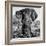 Awesome South Africa Collection Square - Portrait of African Elephant B&W-Philippe Hugonnard-Framed Photographic Print