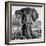 Awesome South Africa Collection Square - Portrait of African Elephant B&W-Philippe Hugonnard-Framed Photographic Print