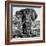 Awesome South Africa Collection Square - Portrait of African Elephant B&W-Philippe Hugonnard-Framed Photographic Print