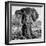 Awesome South Africa Collection Square - Portrait of African Elephant B&W-Philippe Hugonnard-Framed Photographic Print