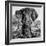 Awesome South Africa Collection Square - Portrait of African Elephant B&W-Philippe Hugonnard-Framed Photographic Print