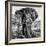 Awesome South Africa Collection Square - Portrait of African Elephant B&W-Philippe Hugonnard-Framed Photographic Print