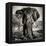 Awesome South Africa Collection Square - Portrait of African Elephant Sepia-Philippe Hugonnard-Framed Premier Image Canvas