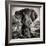 Awesome South Africa Collection Square - Portrait of African Elephant Sepia-Philippe Hugonnard-Framed Photographic Print