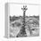 Awesome South Africa Collection Square - Portrait of Two Giraffes B&W-Philippe Hugonnard-Framed Premier Image Canvas