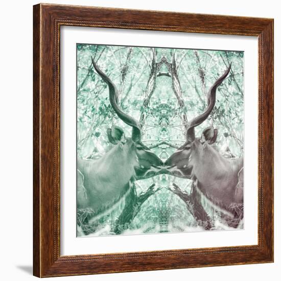 Awesome South Africa Collection Square - Reflection of Greater Kudu - Coral Green & Dimgray-Philippe Hugonnard-Framed Photographic Print