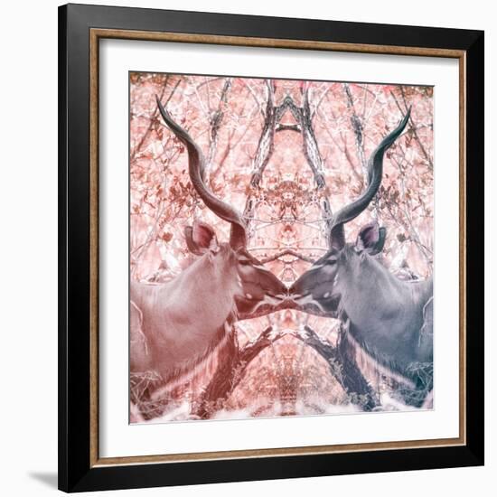 Awesome South Africa Collection Square - Reflection of Greater Kudu - Red & Dimgray-Philippe Hugonnard-Framed Photographic Print