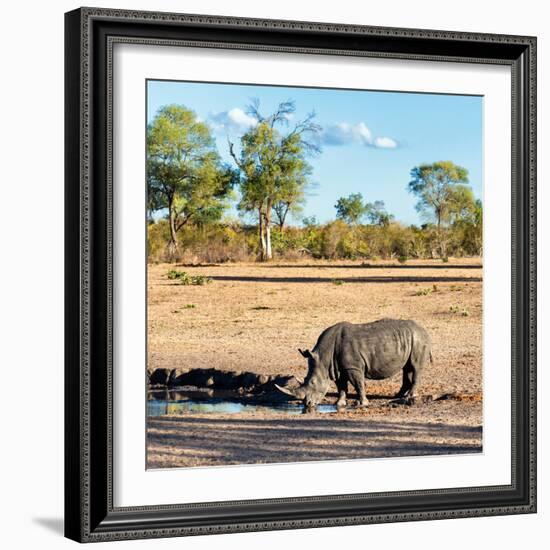 Awesome South Africa Collection Square - Rhinoceros in Savanna Landscape at Sunset-Philippe Hugonnard-Framed Photographic Print