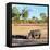 Awesome South Africa Collection Square - Rhinoceros in Savanna Landscape at Sunset-Philippe Hugonnard-Framed Premier Image Canvas