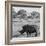 Awesome South Africa Collection Square - Rhinoceros in Savanna-Philippe Hugonnard-Framed Photographic Print