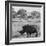 Awesome South Africa Collection Square - Rhinoceros in Savanna-Philippe Hugonnard-Framed Photographic Print