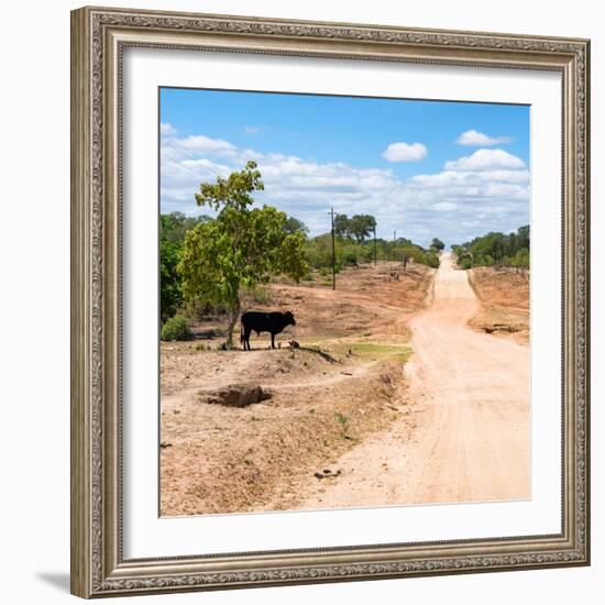 Awesome South Africa Collection Square - Road in the African Savannah-Philippe Hugonnard-Framed Photographic Print