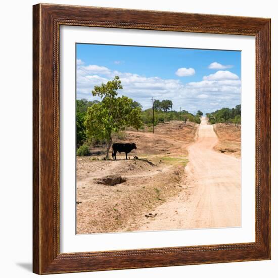 Awesome South Africa Collection Square - Road in the African Savannah-Philippe Hugonnard-Framed Photographic Print