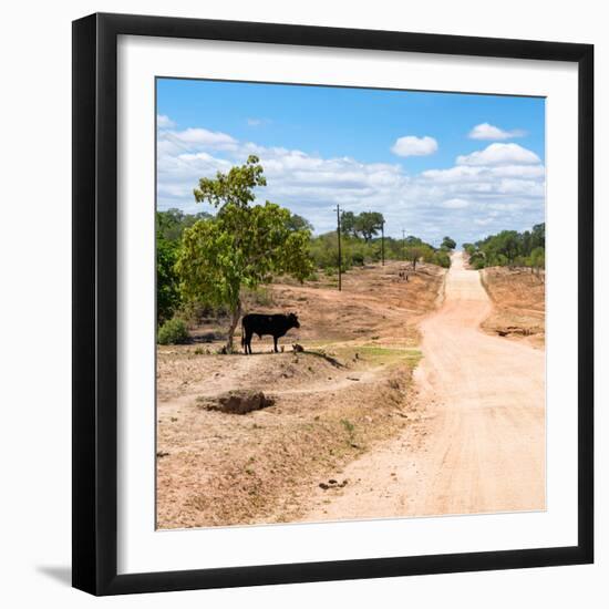 Awesome South Africa Collection Square - Road in the African Savannah-Philippe Hugonnard-Framed Photographic Print