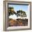 Awesome South Africa Collection Square - Safari Road at Sunrise-Philippe Hugonnard-Framed Photographic Print