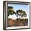 Awesome South Africa Collection Square - Safari Road at Sunrise-Philippe Hugonnard-Framed Photographic Print