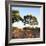 Awesome South Africa Collection Square - Safari Road at Sunrise-Philippe Hugonnard-Framed Photographic Print