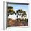 Awesome South Africa Collection Square - Safari Road at Sunrise-Philippe Hugonnard-Framed Photographic Print