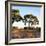 Awesome South Africa Collection Square - Safari Road at Sunrise-Philippe Hugonnard-Framed Photographic Print