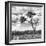 Awesome South Africa Collection Square - Safari Road B&W-Philippe Hugonnard-Framed Photographic Print