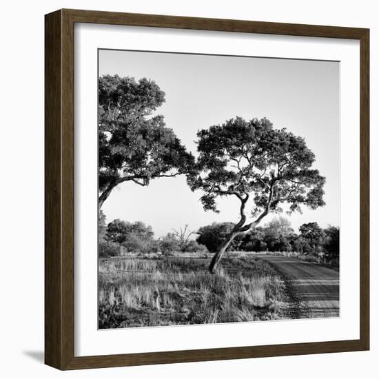 Awesome South Africa Collection Square - Safari Road-Philippe Hugonnard-Framed Photographic Print