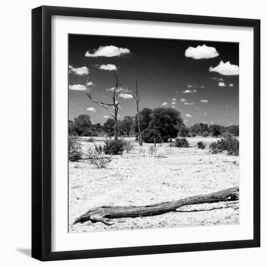 Awesome South Africa Collection Square - Savannah Landscape II B&W-Philippe Hugonnard-Framed Photographic Print