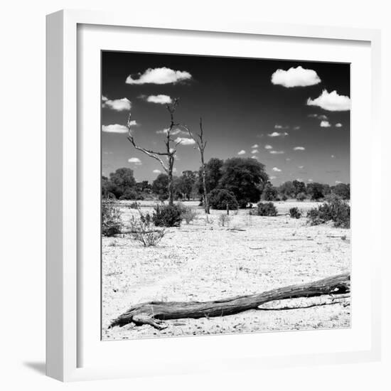 Awesome South Africa Collection Square - Savannah Landscape II B&W-Philippe Hugonnard-Framed Photographic Print