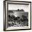 Awesome South Africa Collection Square - South Peninsula Landscape - Cape Town B&W-Philippe Hugonnard-Framed Photographic Print