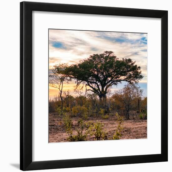 Awesome South Africa Collection Square - Sunrise in Savannah II-Philippe Hugonnard-Framed Photographic Print