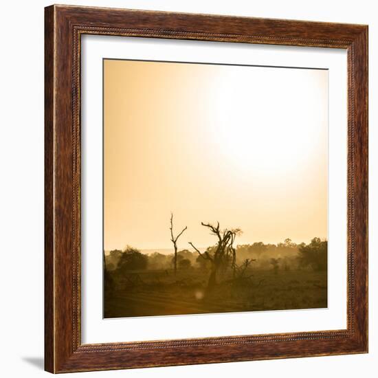 Awesome South Africa Collection Square - Sunrise in Savannah III-Philippe Hugonnard-Framed Photographic Print