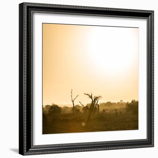 Awesome South Africa Collection Square - Sunrise in Savannah III-Philippe Hugonnard-Framed Photographic Print