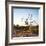 Awesome South Africa Collection Square - Three Whitebacked Vulture on the Tree at Sunrise-Philippe Hugonnard-Framed Photographic Print