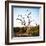 Awesome South Africa Collection Square - Three Whitebacked Vulture on the Tree-Philippe Hugonnard-Framed Photographic Print