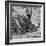 Awesome South Africa Collection Square - Two White Rhinos B&W-Philippe Hugonnard-Framed Photographic Print