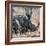 Awesome South Africa Collection Square - Two White Rhinos-Philippe Hugonnard-Framed Photographic Print